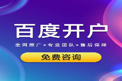 案例解析：sem竞价策略在电商平台的成功应用